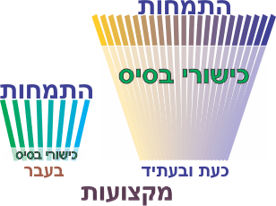 הנגשה מקצועית