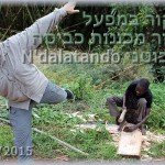 יאיר דיקמן אוירון ייצור מכונת כביסה