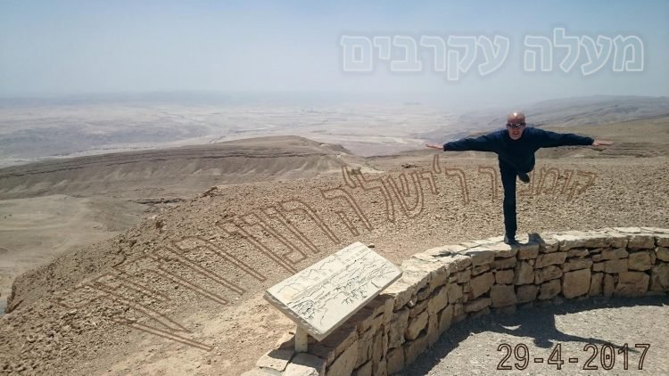 יאיר דיקמן אווירון