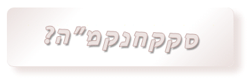 סאחי, קונפורמי, קונסרבטיבי, חותרי נורמטיביות קונצנזוסיאלית מתכנס הזדהותית